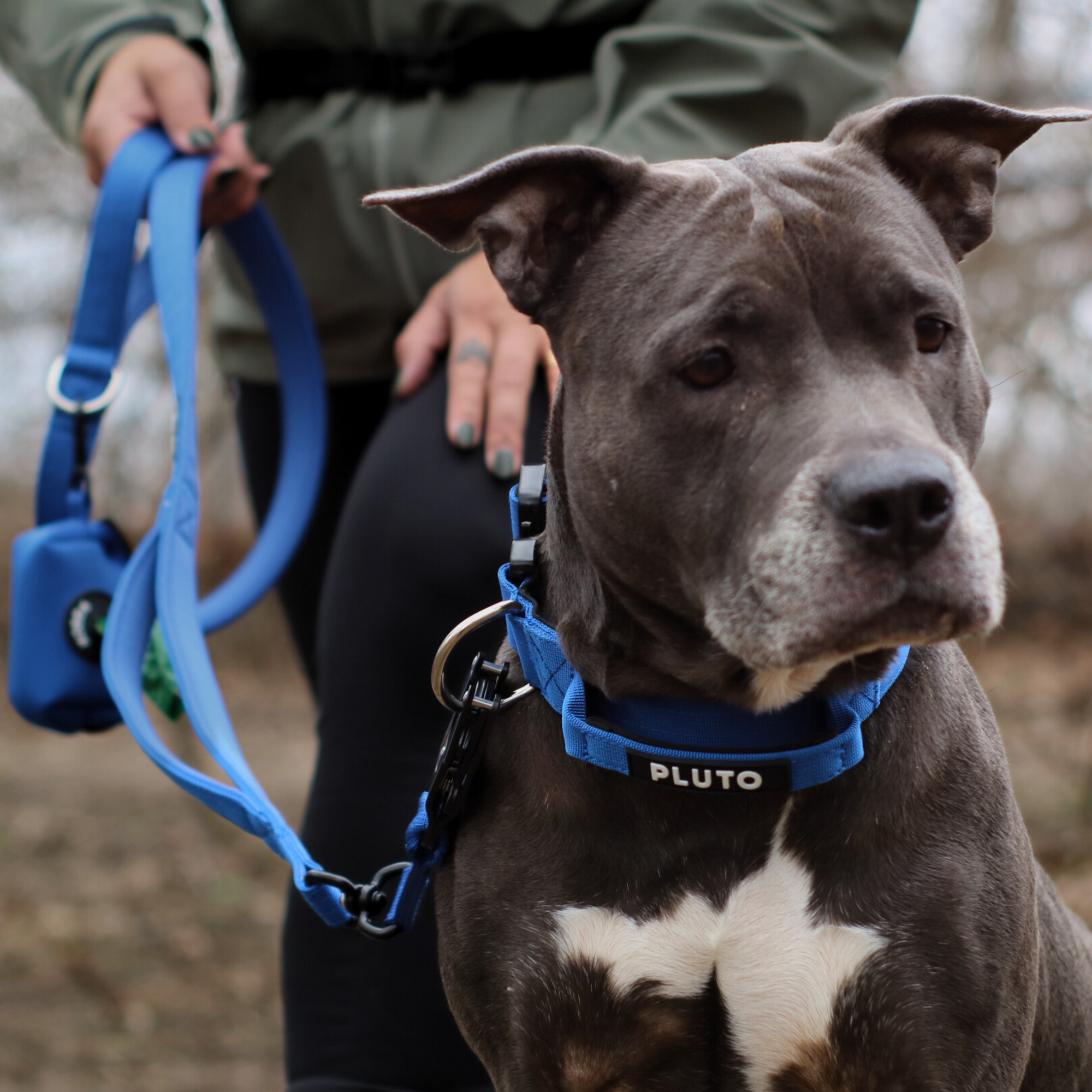 Heavy Duty Dog Leash and Collar Set