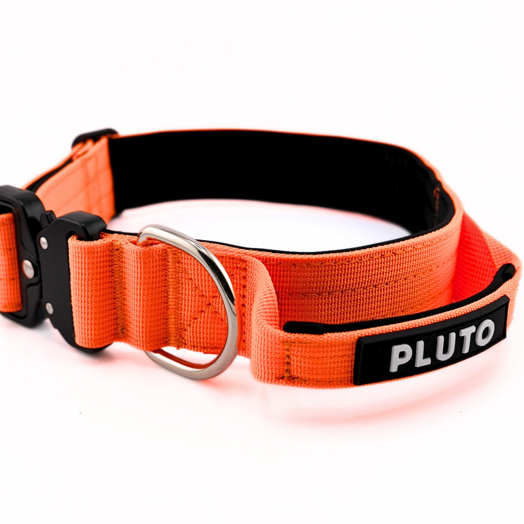 Heavy Duty Dog Collar