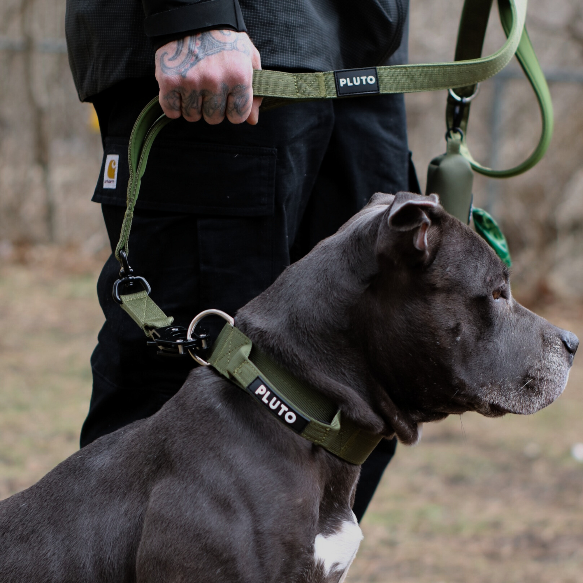 Heavy Duty Dog Leash and Collar Set