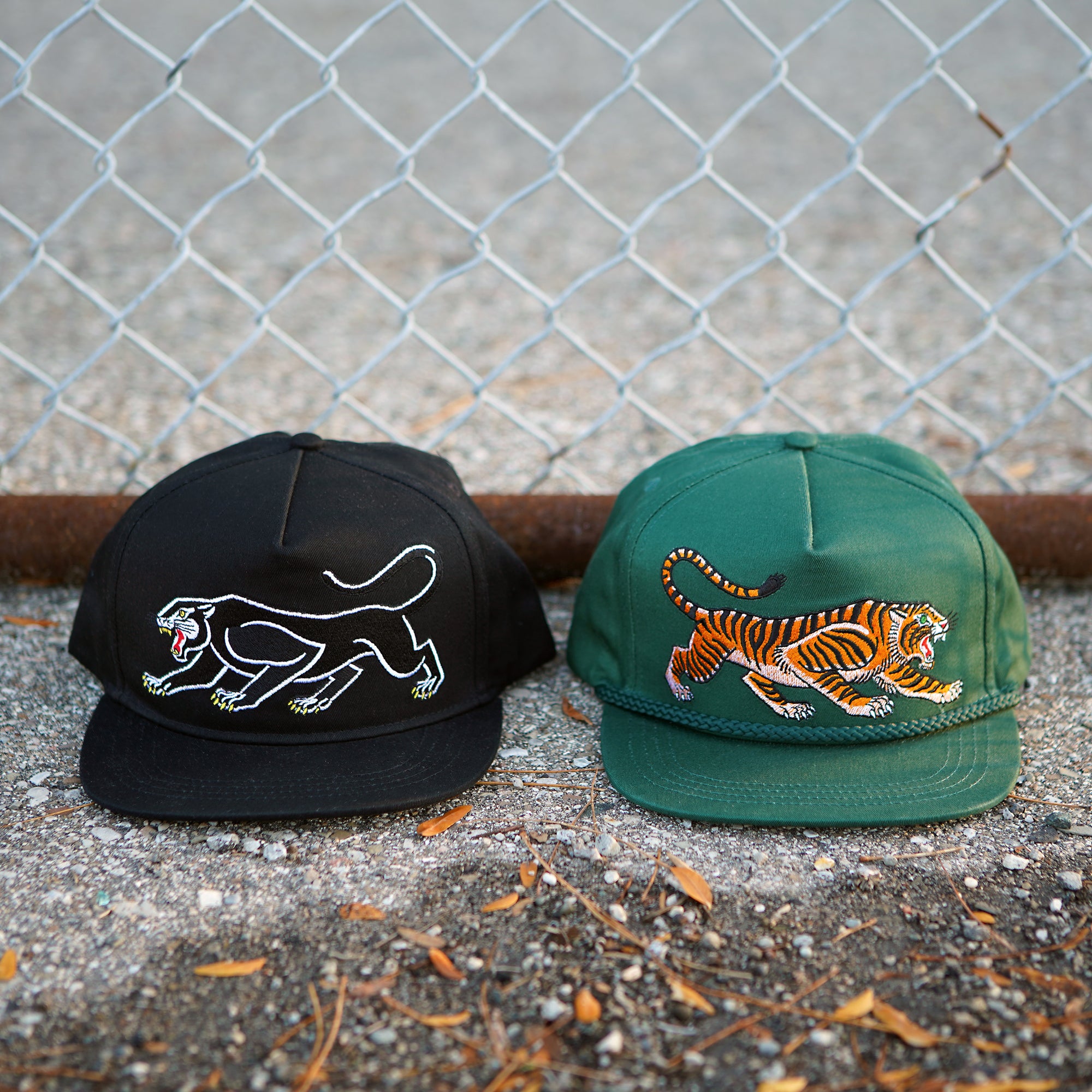Big Cat Hat Combo