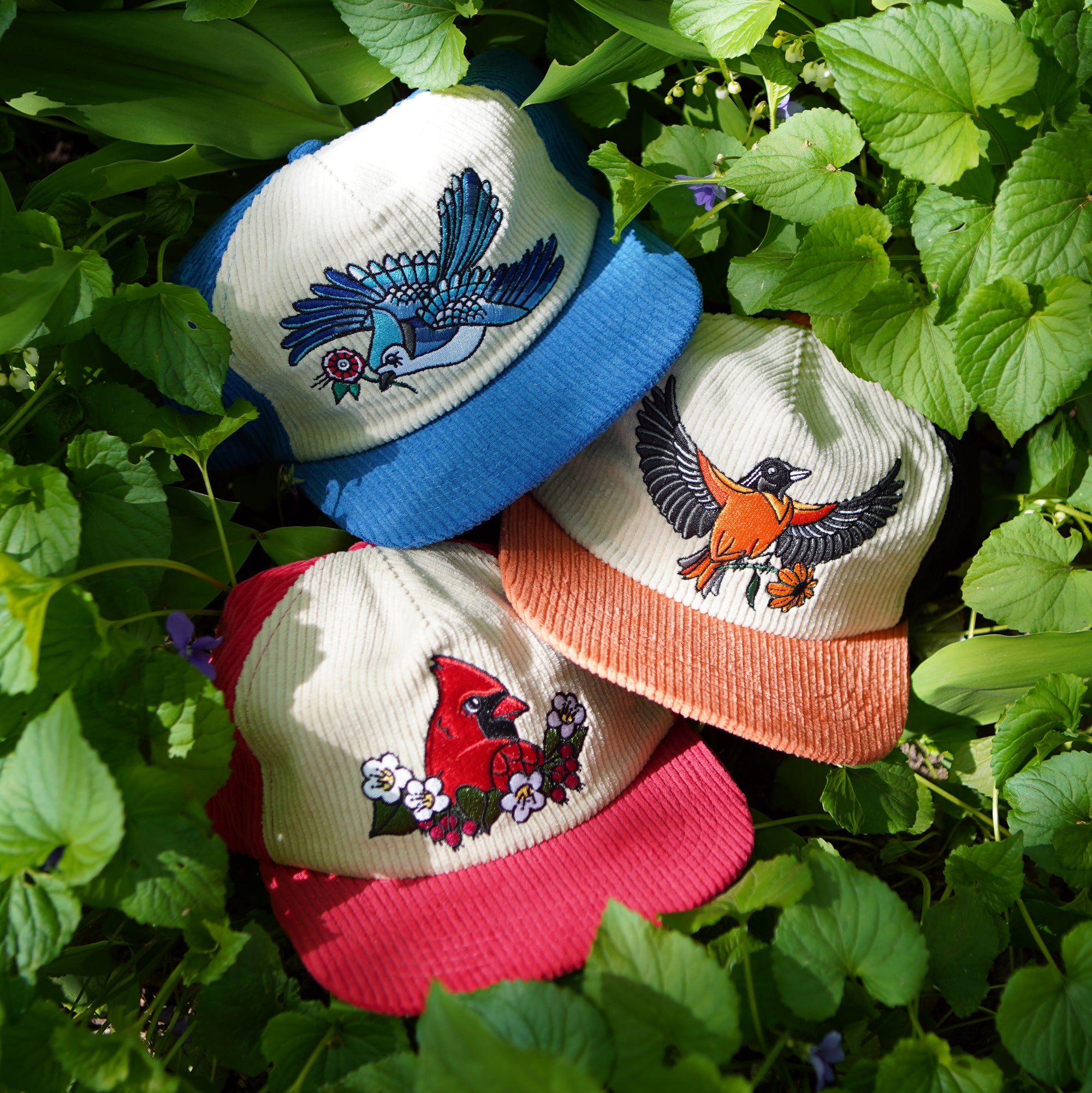 Blue Jay Two-Tone Corduroy Hat