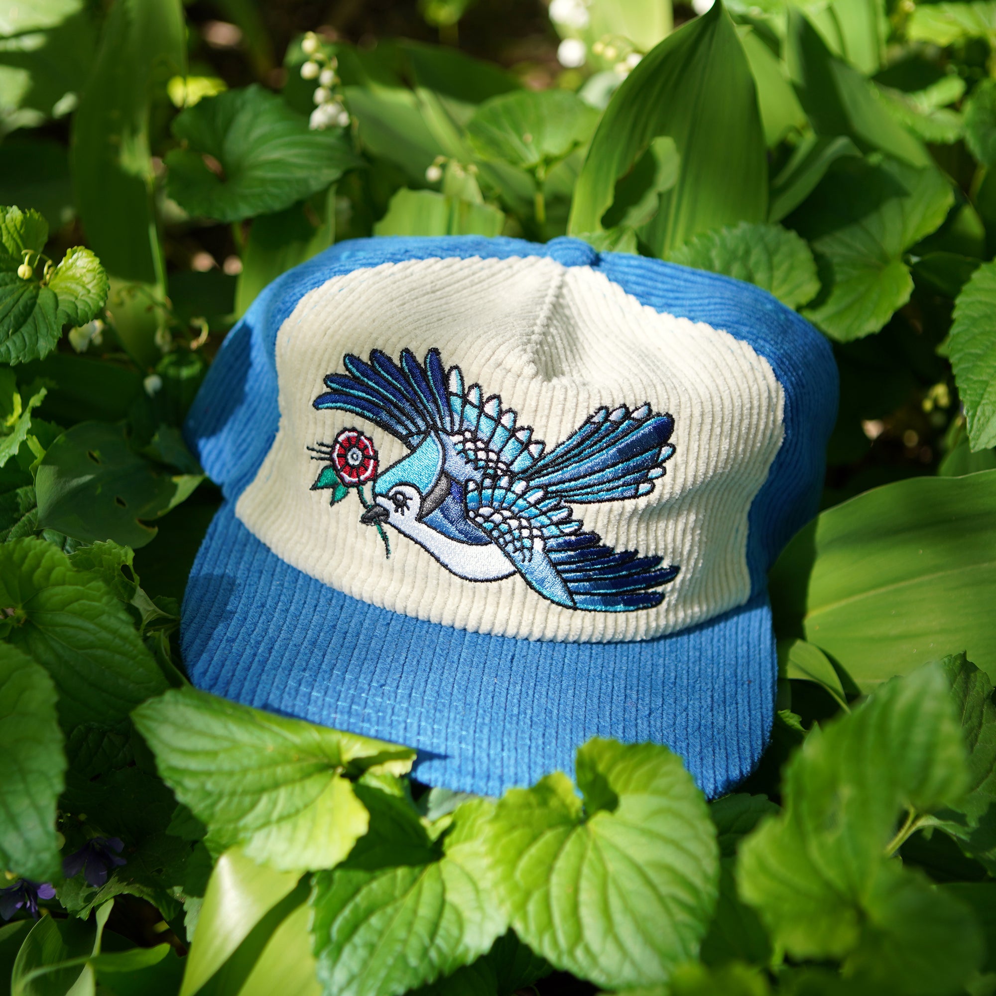 Blue Jay Two-Tone Corduroy Hat