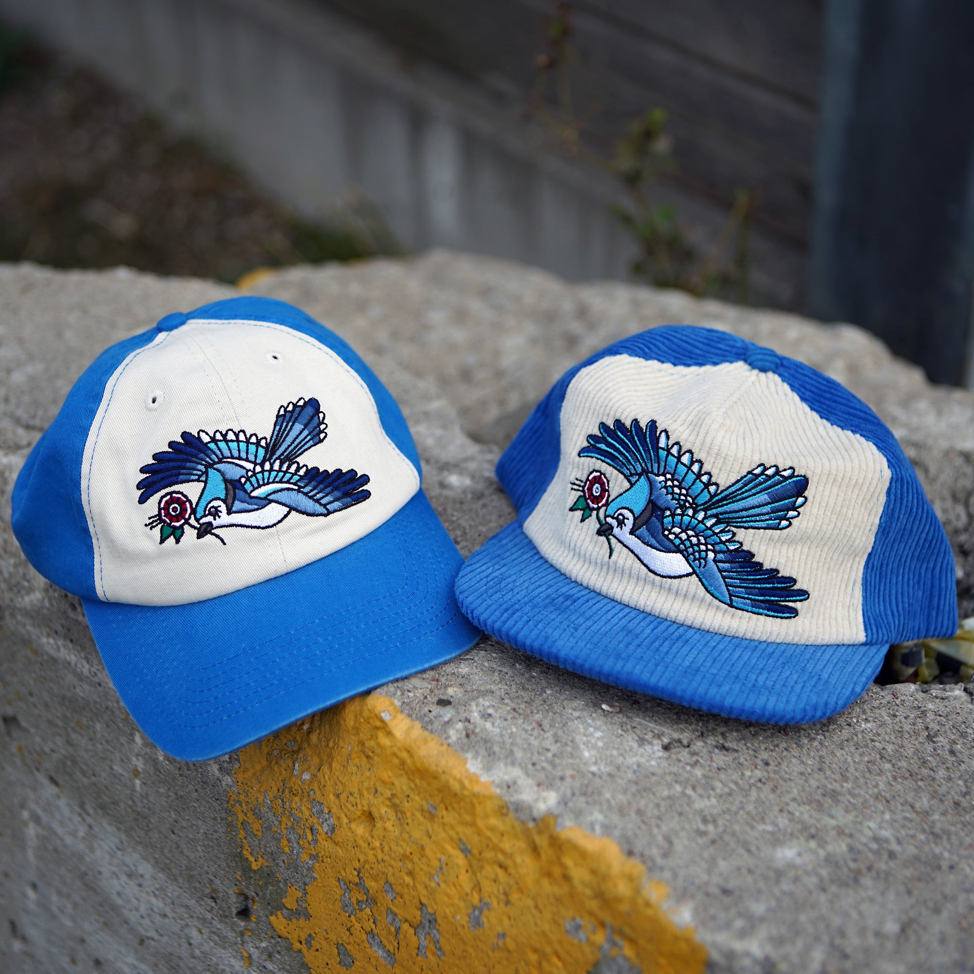 Blue Jay Two-Tone Dad Hat