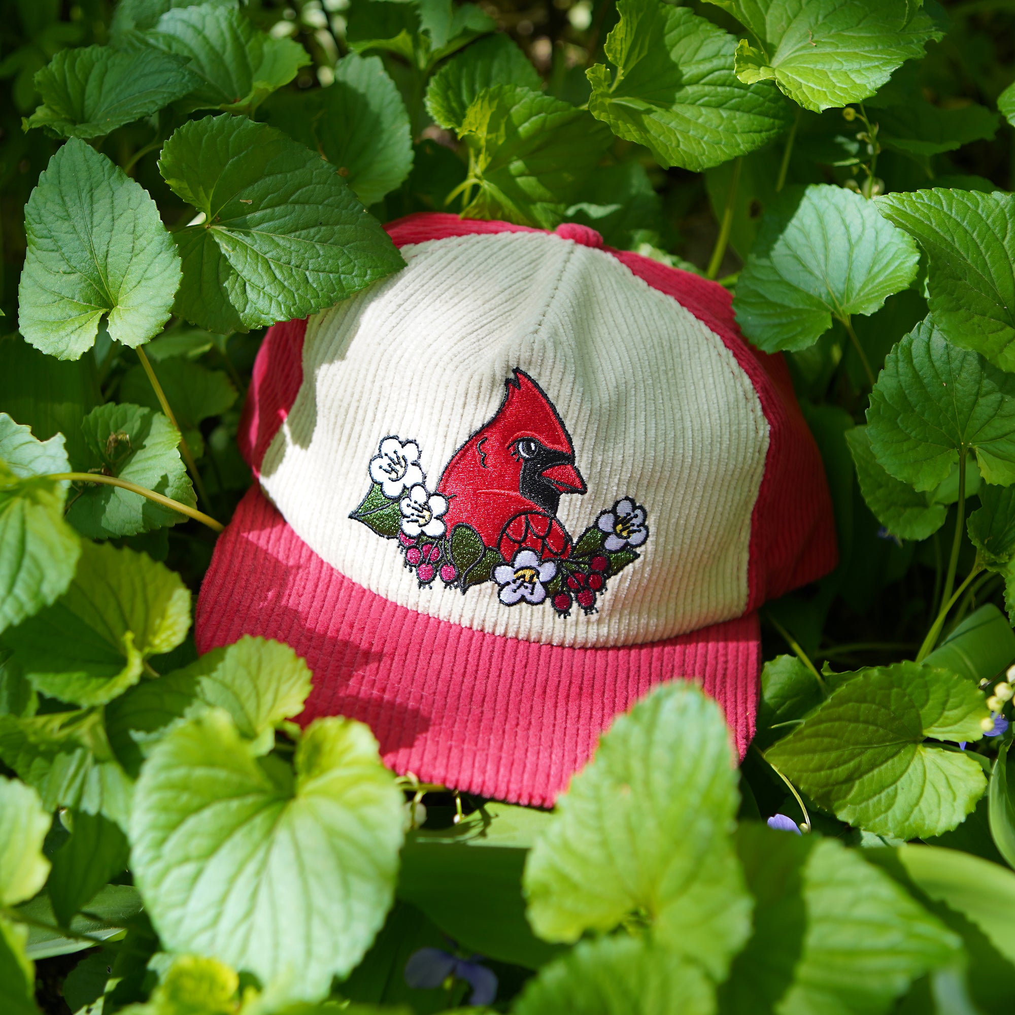 Cardinal Two-Tone Corduroy Hat