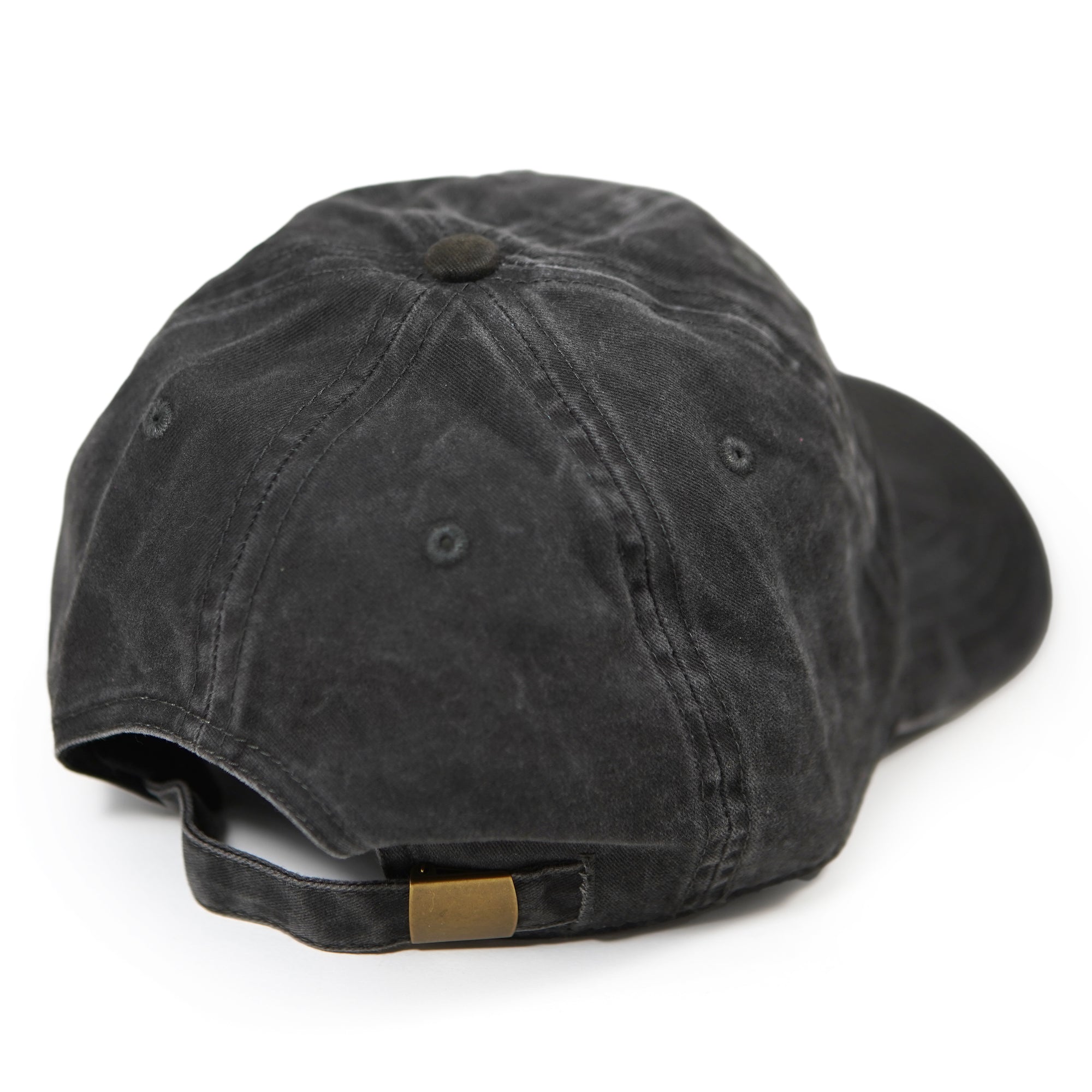 Mosquito Dad Hat