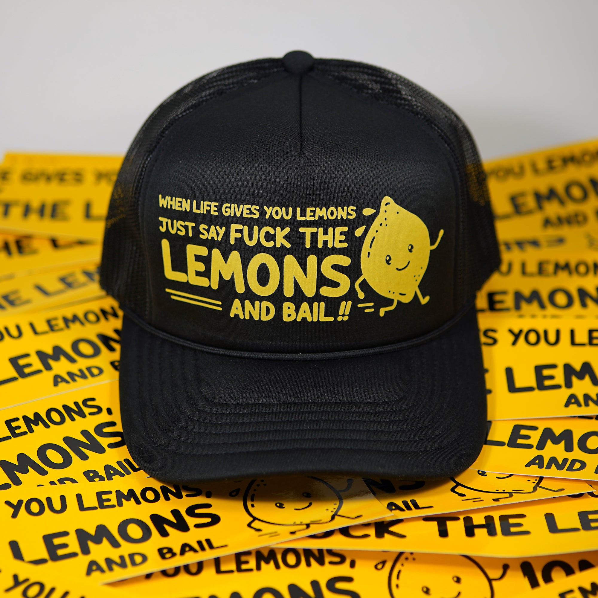 When Life Gives You Lemons Bumper Sticker
