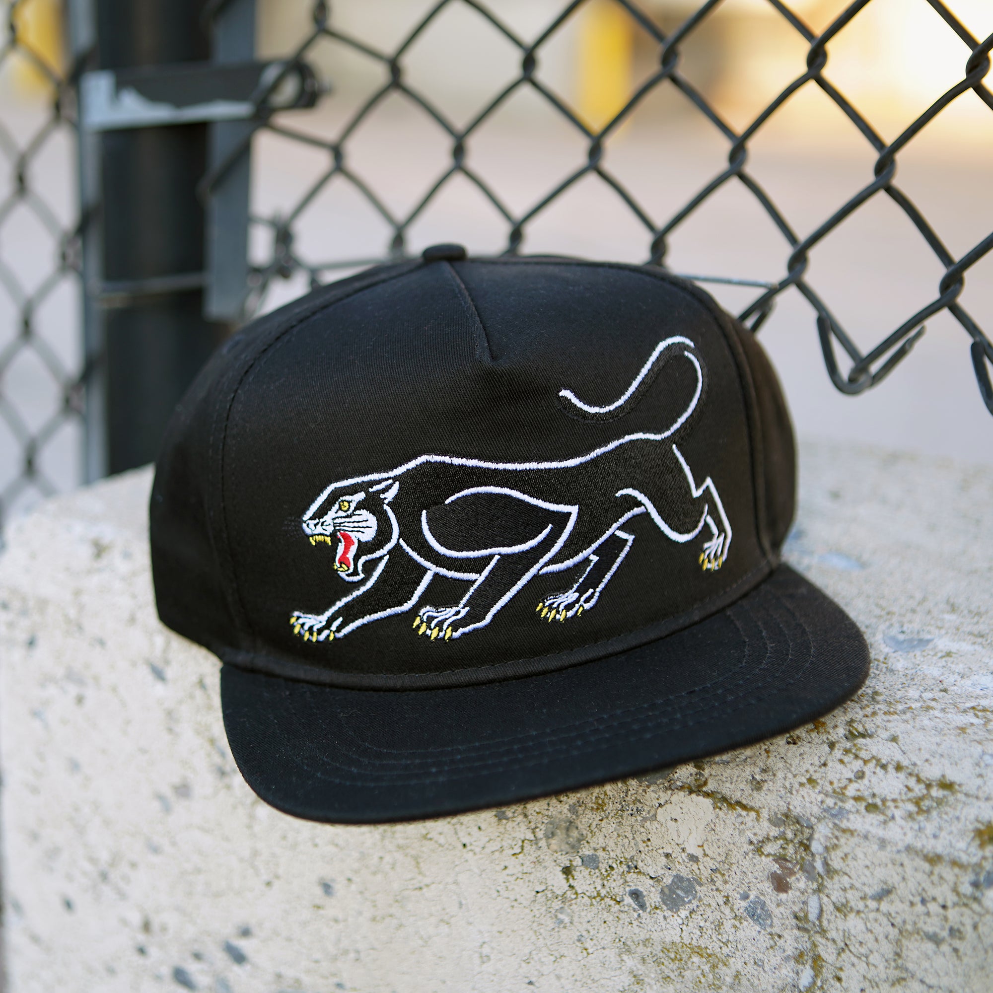 Black Panther Cap