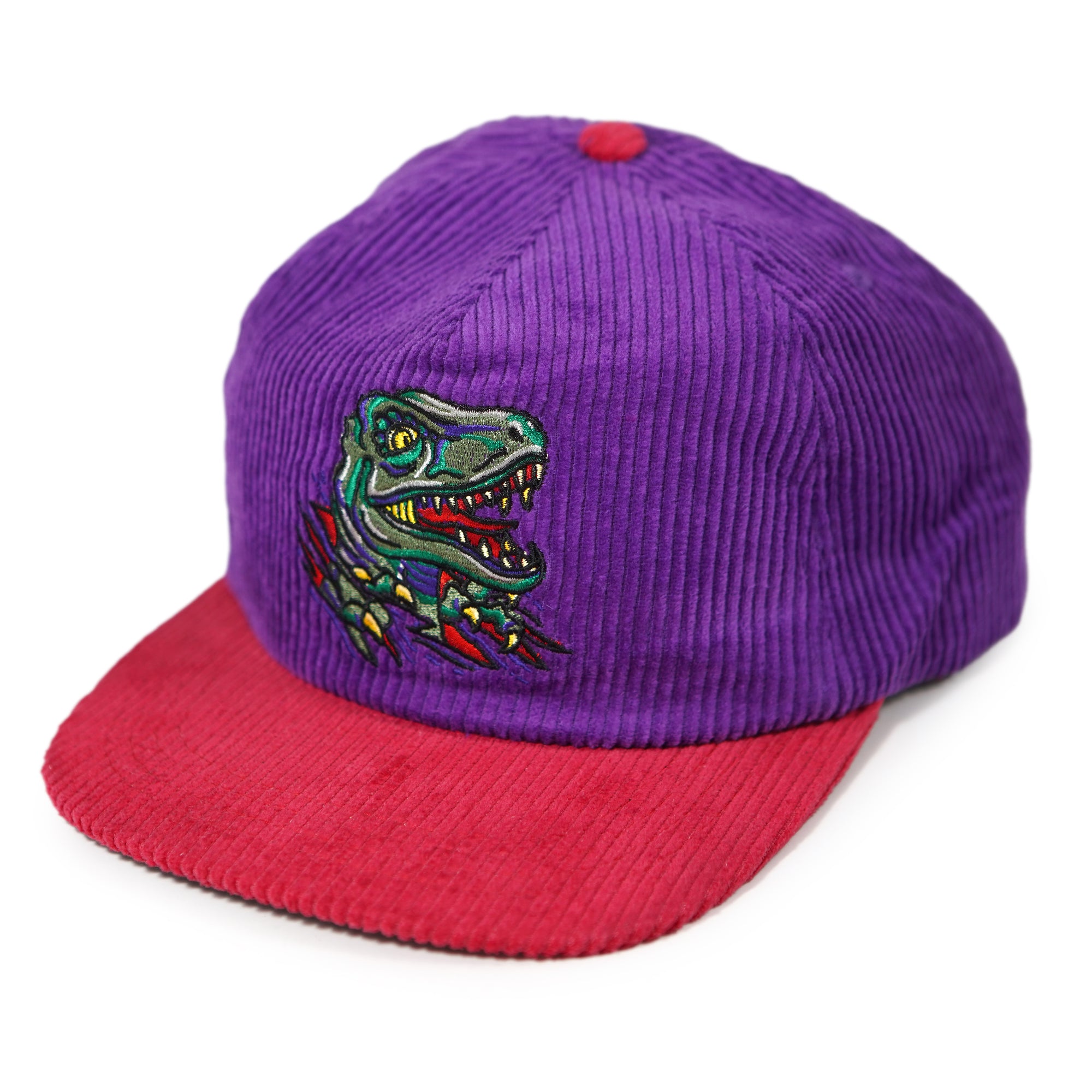 Raptor Corduroy Hat