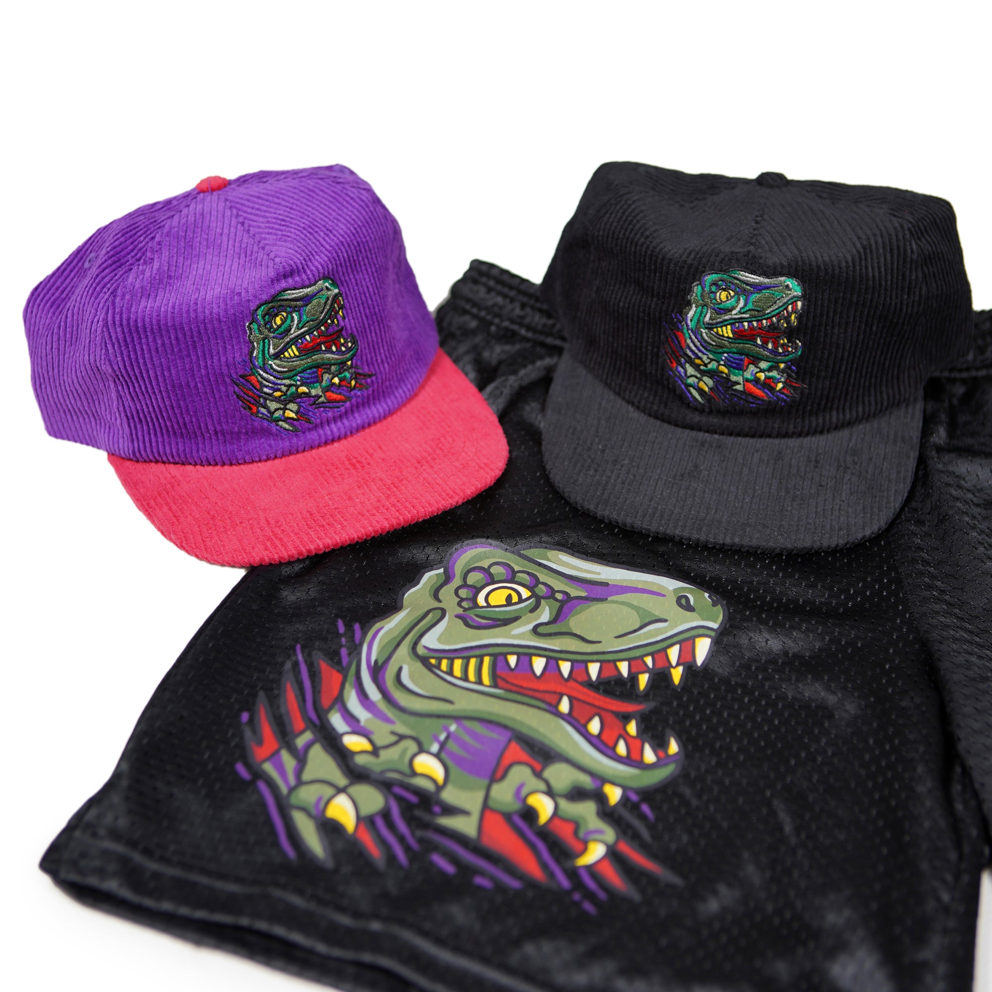 Raptor Corduroy Hat