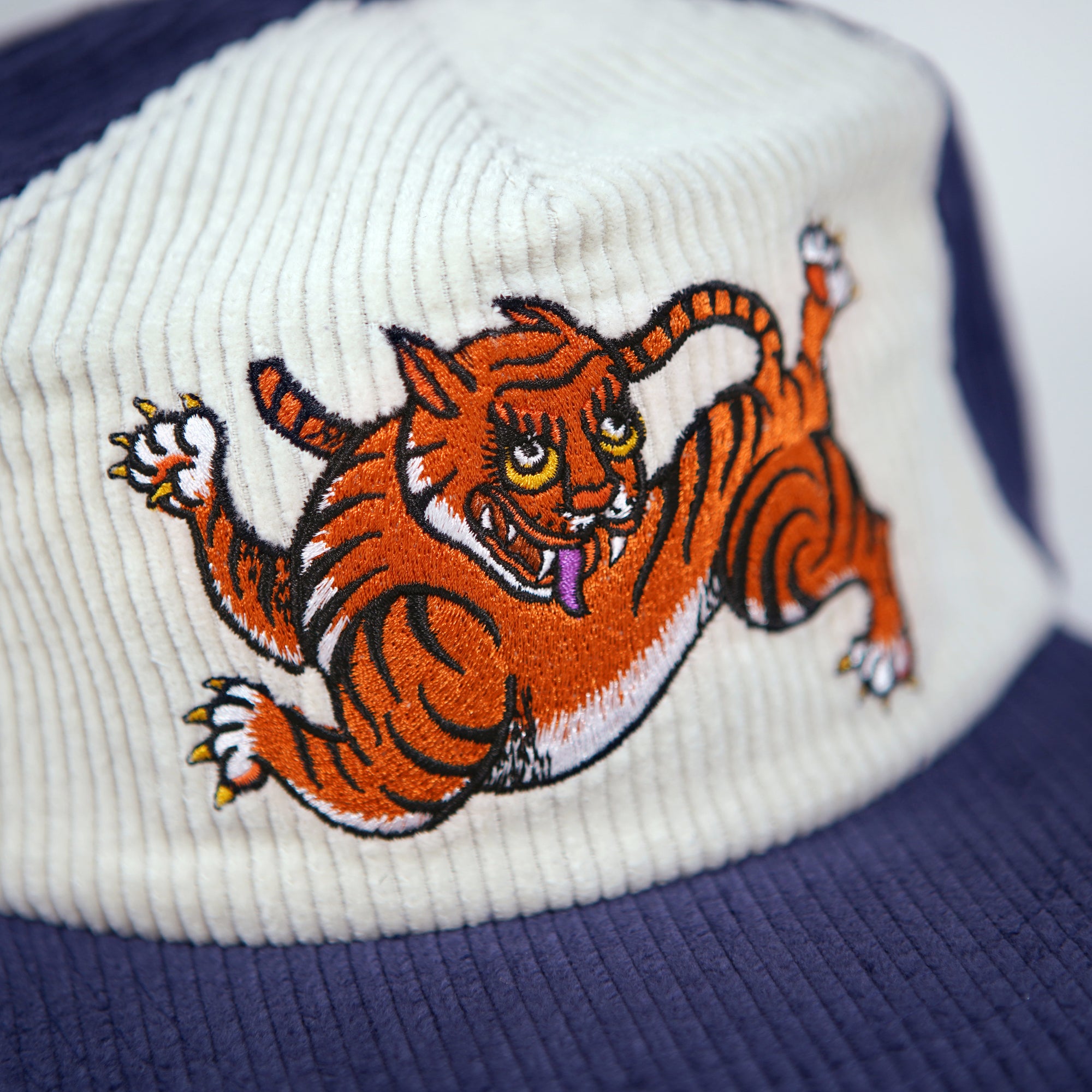 Happy Tiger Two-Tone Corduroy Hat