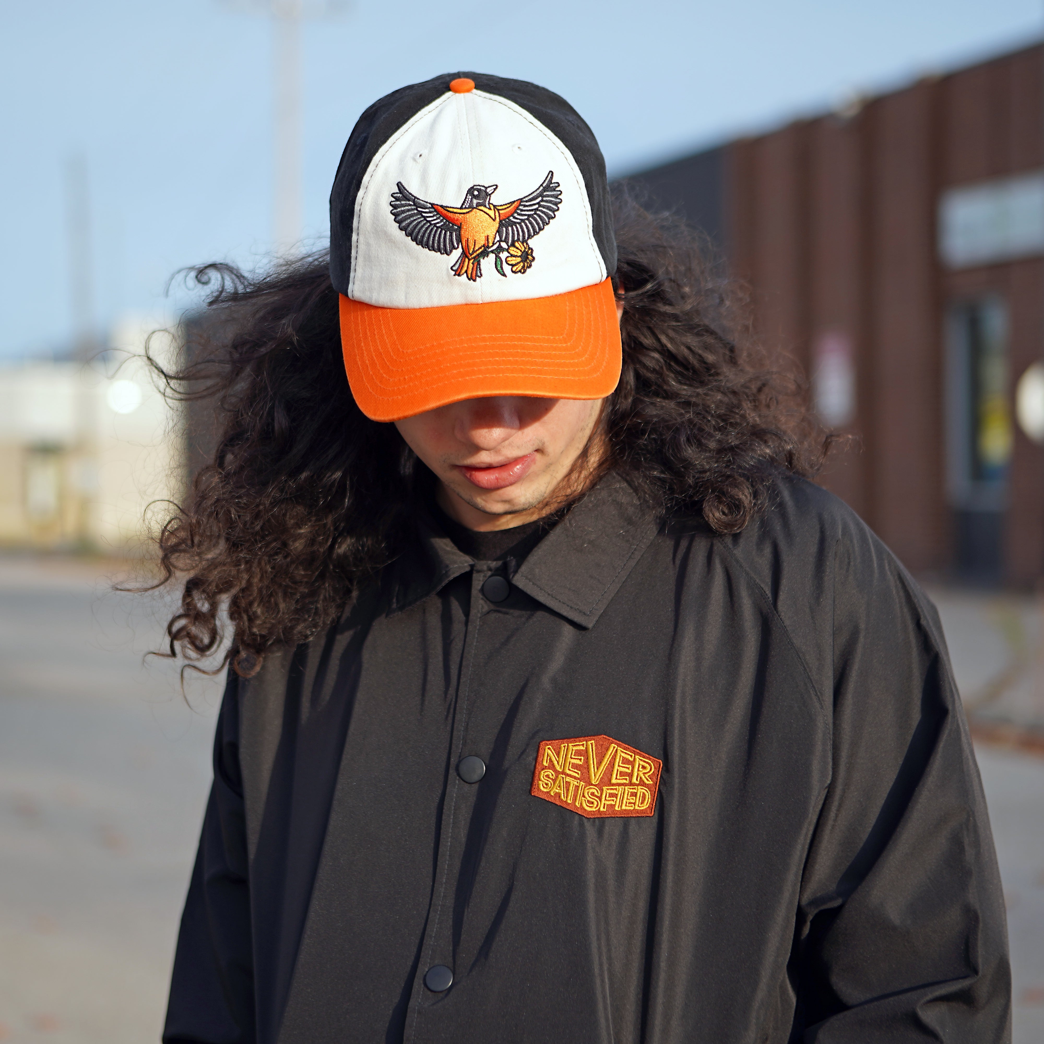 Oriole Collection