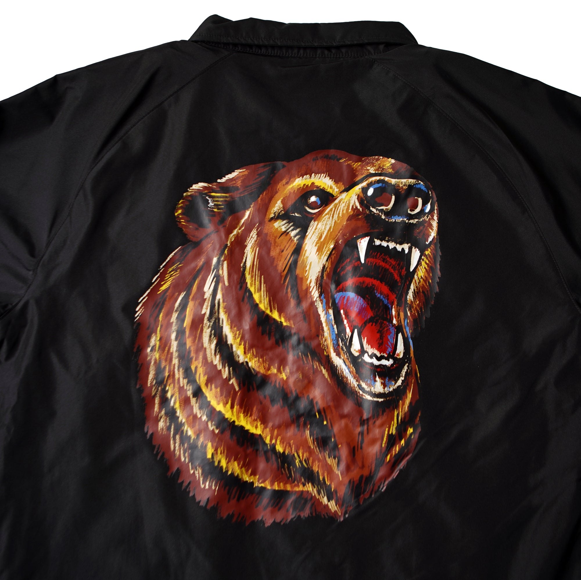 Bear Coach's Jacket