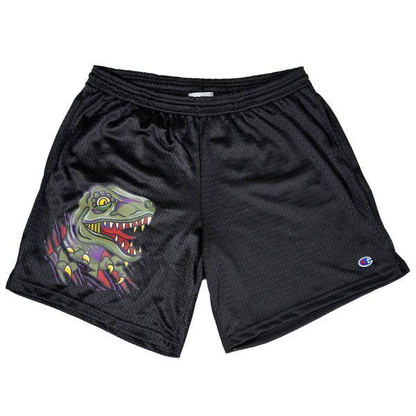A$AP マリノ Demon Champion shorts ブラック M ④ Amazon.com: Champion Little Bike, Sport, Black Spandex Girls