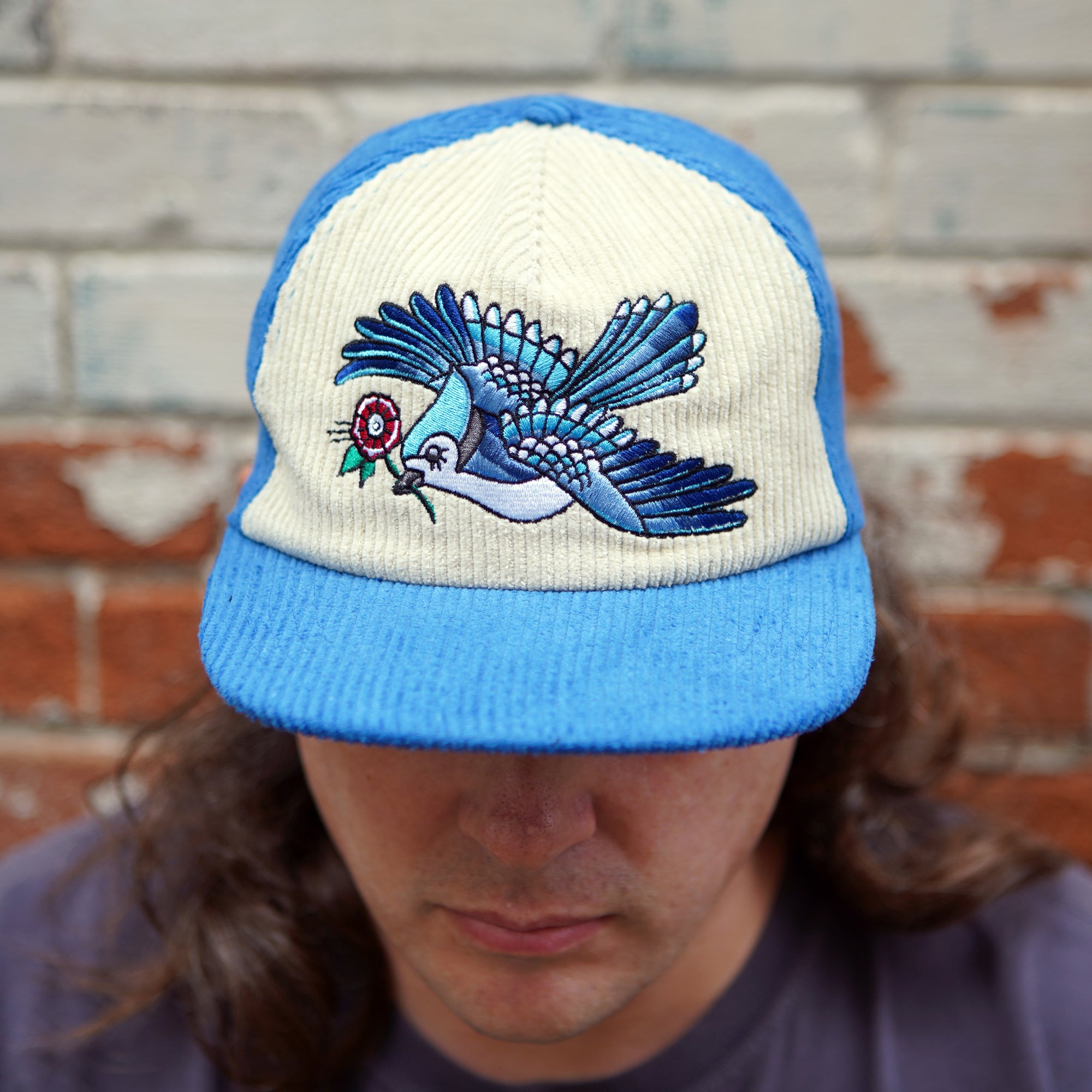 Blue Jay Two-Tone Corduroy Hat - Stuntin Goods